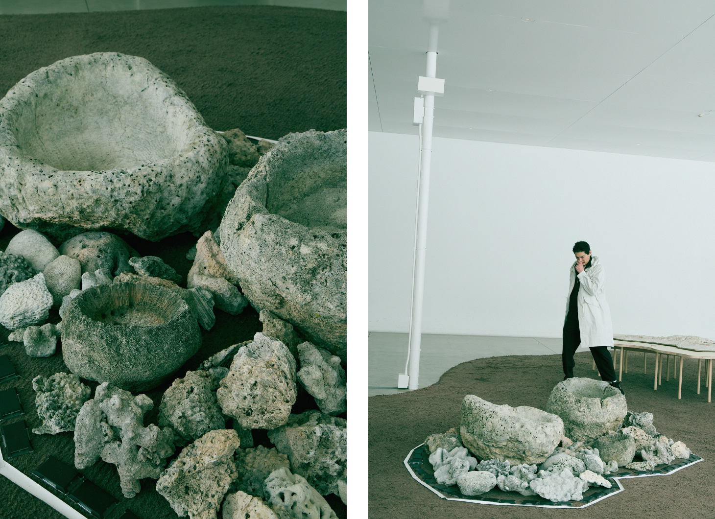 アニマ・レイヴ　存在の交差点で踊るサンゴ、SceNEプロジェクト×藤枝守　ガラージュ